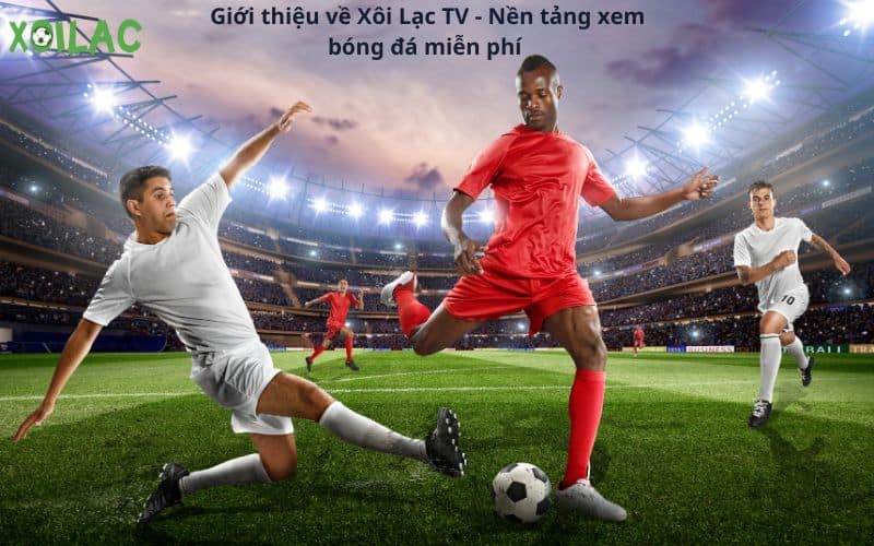 Xem bóng đá trực tuyến miễn phí với xoilac tv